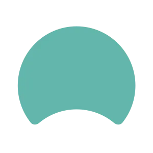 Sales Advisor