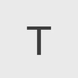HGV 2 Driver