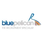 Blue Pelican Ltd
