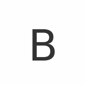 Customer Service Advisor