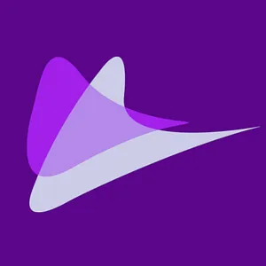 HR Systems Analyst