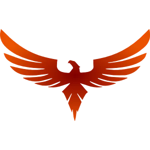 Head of / Director of Ecommerce – Interim / Contract